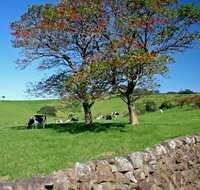 Historic Dry Stone Walls Kiama - Attractions Perth
