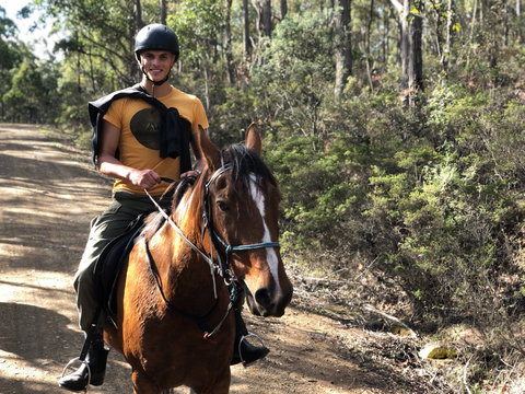 Horse Riding Tasmania - Attractions Perth 2