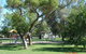 Inglewood Apex-Lions Park - thumb 2