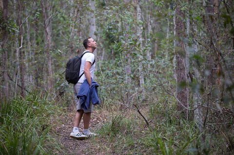 Ironbark Ridge And Spotted Gum Walking Trails - Attractions Perth 2