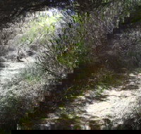 Jack And Hilda McArthur Walk