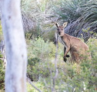 Kaiserstuhl Conservation Park - Attractions Perth