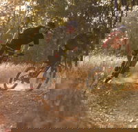 Kholo Gardens Trails - Attractions Perth