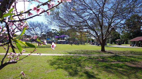 Koshigaya Park - Attractions Perth 0
