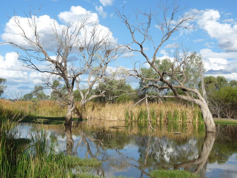 Lagoon Creek - Attractions Perth 0