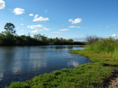 Lagoon Creek - Attractions Perth 2