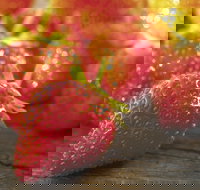 Lambs Valley - Attractions Perth