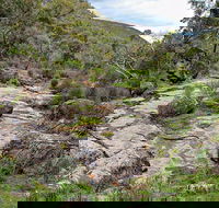 Lynchs Loop Trail - Attractions Perth