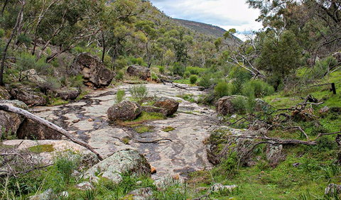 Lynchs Loop Trail - Attractions Perth 0