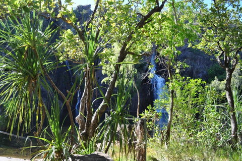 Manngarre Rainforest Walk - Attractions Perth 1