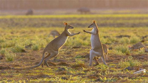 Mary River Area - Attractions Perth 0