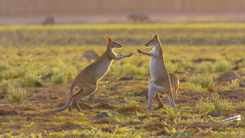 Mary River Area - Attractions Perth 1