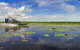 Mary River Area - thumb 2