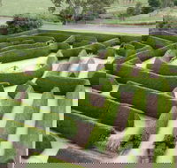 Mintaro Maze - Attractions Perth