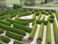 Mintaro Maze