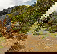 Mountain Biking Trails - Attractions Perth