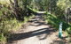 Mt Coot-tha Tourist Drive - thumb 2