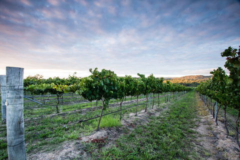 Nature And Foodies Trail - Attractions Perth 0