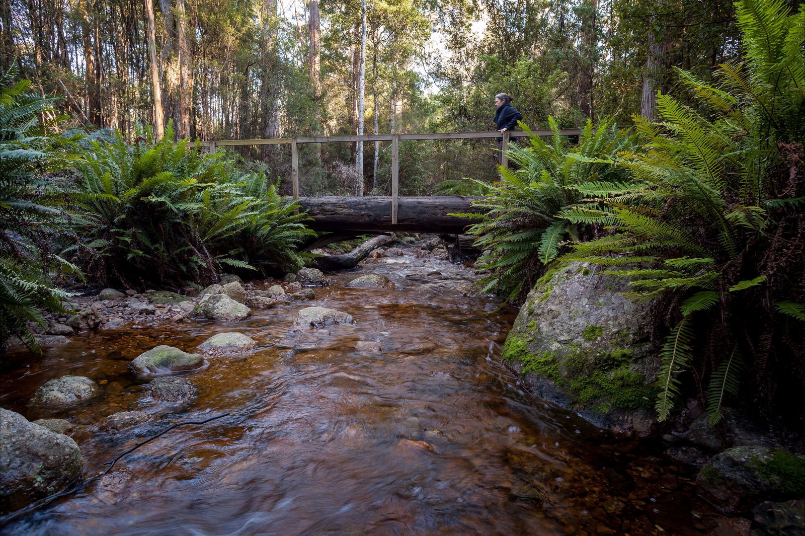 Gowrie Park TAS Attractions Perth