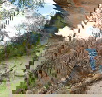 Pilliga National Park - Attractions Perth