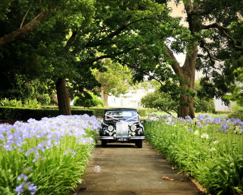 Queens Park, Toowoomba - Attractions Perth 2