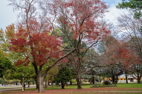 Queanbeyan Central Park - Attractions Perth 1