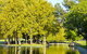 Rymill Park/Murlawirrapurka - thumb 0