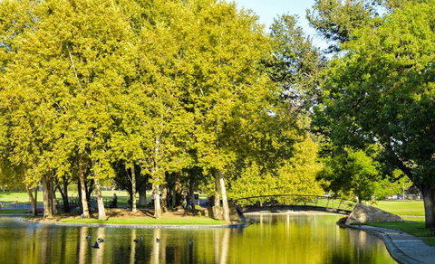 Rymill Park/Murlawirrapurka - Attractions Perth 0