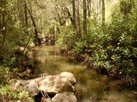 Sandy Creek Track - Attractions Perth 0