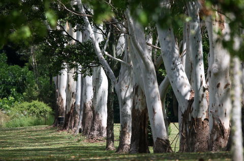 Teven Valley Golf Course - Attractions Perth 1