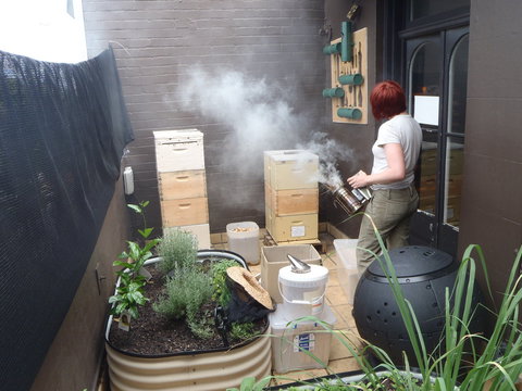 The Urban Beehive Port Botany - Attractions Perth 0