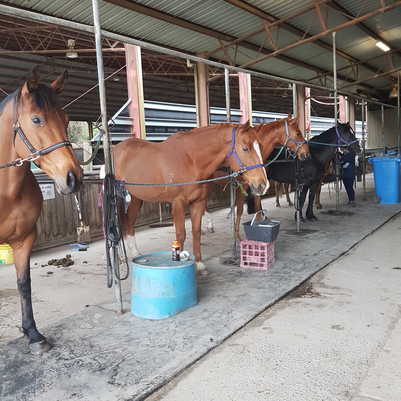 Cranbourne South VIC Attractions Perth