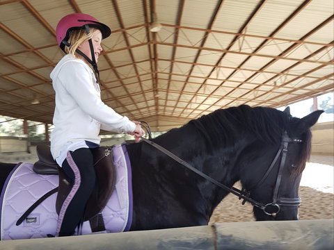 The Equine Club - Attractions Perth 1