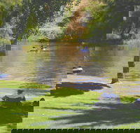 The Lions Junction Park - Tumut - Attractions Perth