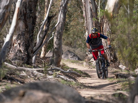 Thredbo Valley Track - Attractions Perth 2