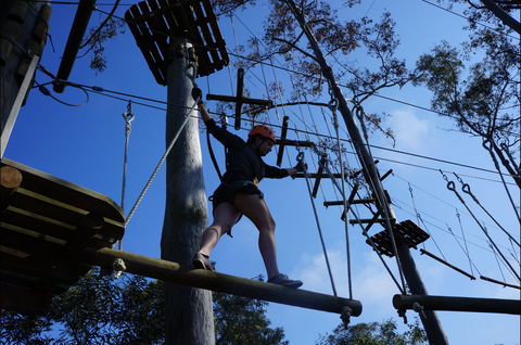 Trees Adventure Nowra Park - Attractions Perth 0