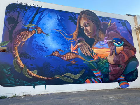 Walk The Walls Cronulla Street Art Trail - Attractions Perth 0