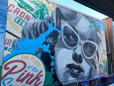 Walk The Walls Cronulla Street Art Trail - Attractions Perth 2