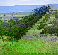 Wild Dog Barrier Fence - Attractions Perth