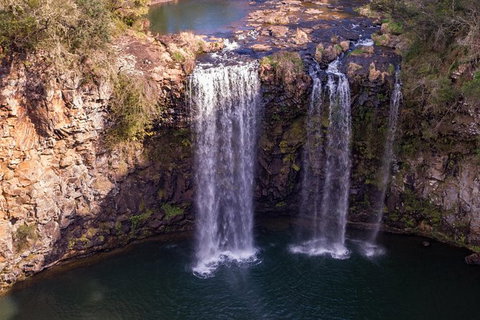 Rainforest & Waterfall Experience - Attractions Perth 1