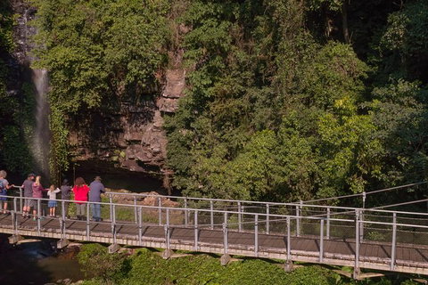 Rainforest & Waterfall Experience - Attractions Perth 4