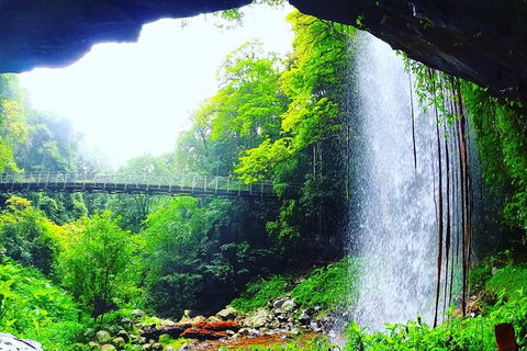 Rainforest & Waterfall Experience - Attractions Perth 6