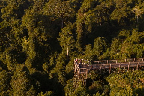 Rainforest & Waterfall Experience - Attractions Perth 5
