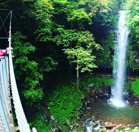 Rainforest  Waterfall Experience - Attractions Perth