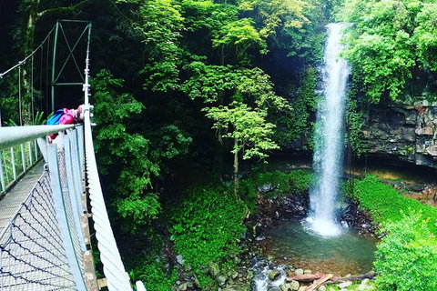 Rainforest & Waterfall Experience - Attractions Perth 0
