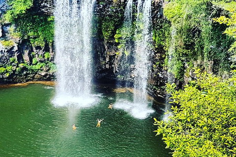 Rainforest & Waterfall Experience - Attractions Perth 2