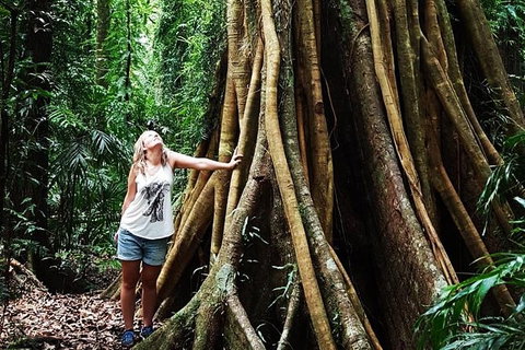 Rainforest & Waterfall Experience - Attractions Perth 3