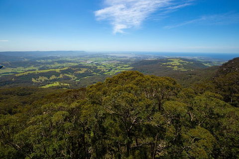 Illawarra Fly Treetop Adventures Treetop Walk Admission Ticket - Attractions Perth 6