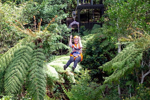 Illawarra Fly Treetop Adventures Treetop Walk Admission Ticket - Attractions Perth 2