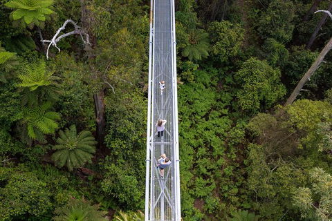 Illawarra Fly Treetop Adventures Treetop Walk Admission Ticket - Attractions Perth 4